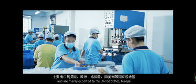 중국 Sundelight Infant products Ltd.